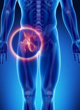 Hip Mobility