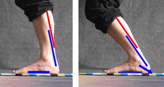 Ankle Mobility