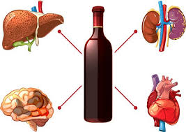 Alcohol and The Body