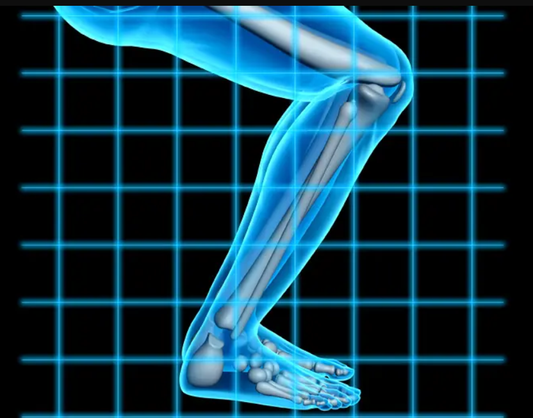 The Knees Over Toes Myth