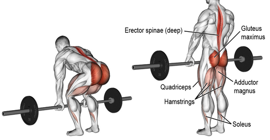 Glutes: Hinge Pattern