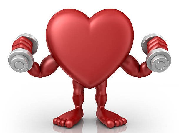 Resistance (Weight) Training & the Cardiovascular System (Sample Workout incl.)