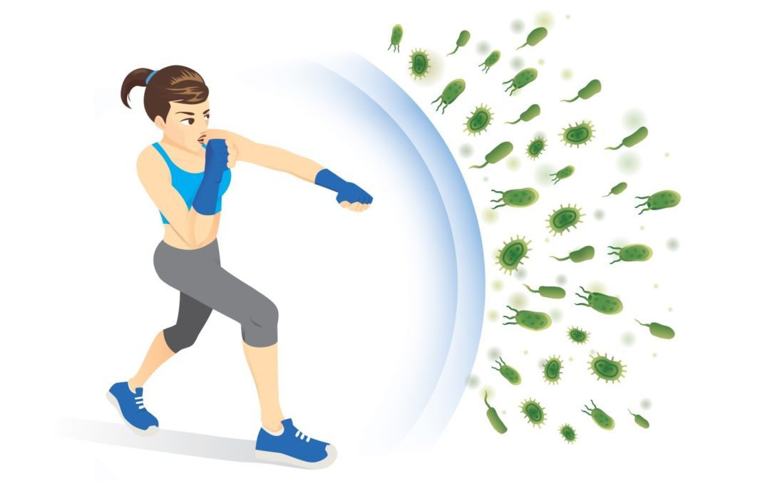 Exercise and the Immune System