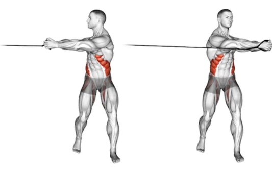 Weight Training and Abdominal Rotation