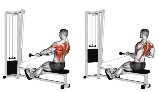 Weight Training: Horizontal Pull